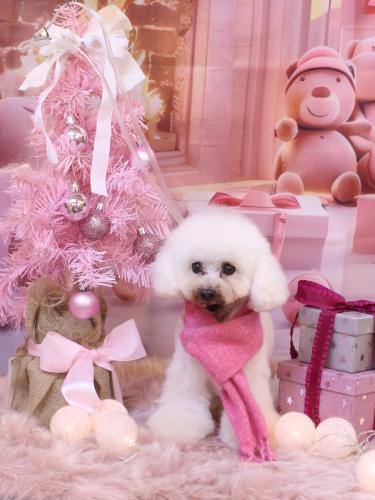 20241224チュッチュくん